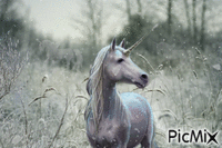 Gillian the unicorn and the snow - Zdarma animovaný GIF