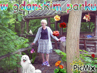 w gdanskim parku - Bezmaksas animēts GIF