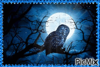 Night Owl! - GIF animado gratis