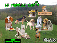 le monde canin - Zdarma animovaný GIF