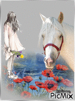 White horse - GIF animé gratuit