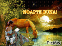 NOAPTE BUNA! - Бесплатни анимирани ГИФ
