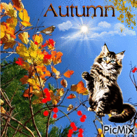 Autumn animirani GIF