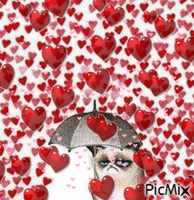 Love Rains - Безплатен анимиран GIF
