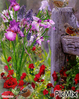 Garden Animated GIF