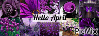 hello april - GIF animasi gratis