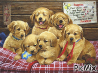 Puppies アニメーションGIF