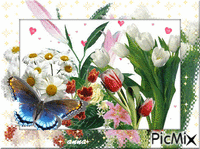Flower - Безплатен анимиран GIF
