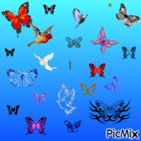 papillon анимиран GIF