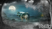 Le loup - GIF animado grátis