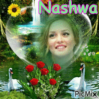 Nashwa - Δωρεάν κινούμενο GIF