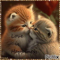 CUTE KITTENS Animated GIF