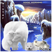 Winter. Good Morning. Polar bear - Бесплатни анимирани ГИФ