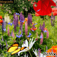 Mon jardin fleuri - GIF animé gratuit