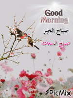 صباح الخير - Бесплатни анимирани ГИФ