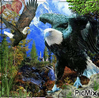 Eagle... - Ilmainen animoitu GIF