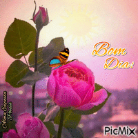 Bom Dia Com Flores - GIF animado grátis - PicMix