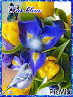 Iris bleus - Бесплатный анимированный гифка
