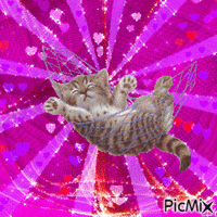 gato - Animovaný GIF zadarmo