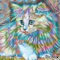 Colorful Rainbow Cat/contest - Gratis animerad GIF