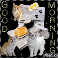 Good Morning Kitties - GIF animado grátis