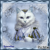 Miss cat 2016 - GIF animado gratis