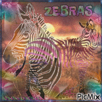 Flashy Zebras GIF animé