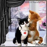 Have a Peaceful Day. Cats. Window. Winter Animated GIF