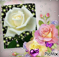 trandafiri - GIF animado grátis