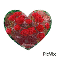 gif heart-rozes-love geanimeerde GIF