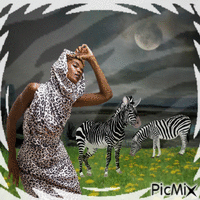 Zebra - Gratis geanimeerde GIF