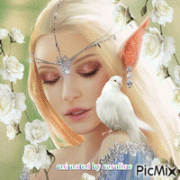magical fairy - GIF animasi gratis