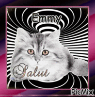 kdo pour Emmy ♥♥♥ GIF animé