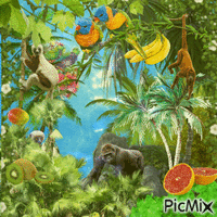 monkey fruit heaven III GIF animé