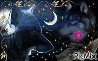 волчья страсть - Безплатен анимиран GIF