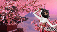 сакура - GIF animado grátis