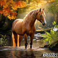Cavalo animerad GIF
