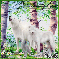 Have a Beautiful Day. White Wolfs - GIF animado gratis