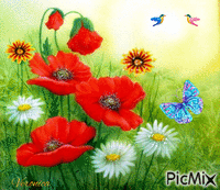 Wiesenblumen - Ingyenes animált GIF