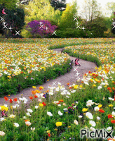 bahar kelebekleri - 免费动画 GIF