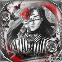 Roses,Red,White,Black-RM-01-29-23 - Безплатен анимиран GIF