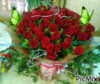 Roses,Butterfly and Dolphn - GIF animado grátis
