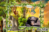 jungle animuotas GIF