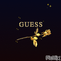 GUESS Animiertes GIF