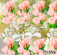 tulipe animovaný GIF