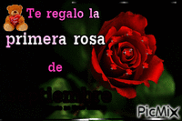 rosas - GIF animate gratis