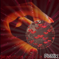 Sensation visuelle BB - Бесплатный анимированный гифка