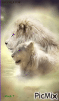 the lions анимиран GIF
