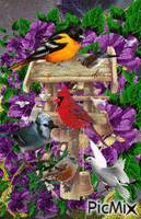 purple flowers shimmering. a bird house moving birds, and flying small birds. animasyonlu GIF