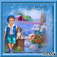 Nature - PNG gratuit